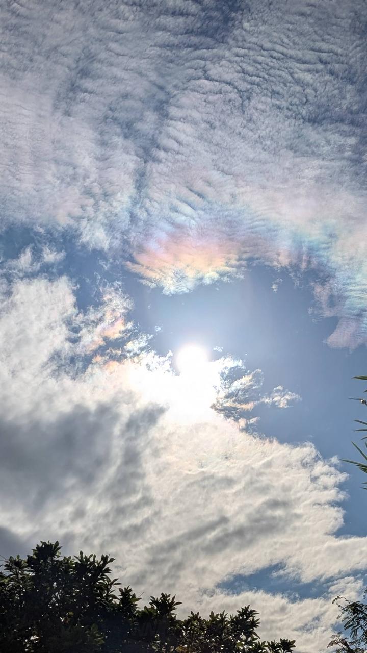 各地で彩雲🌈 注目の空の写真 ウェザーニュース