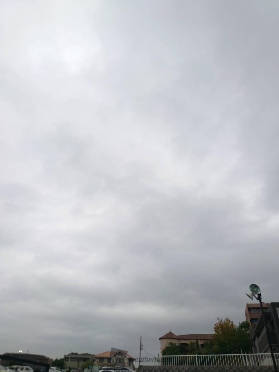 名古屋 瑞穂 区 天気