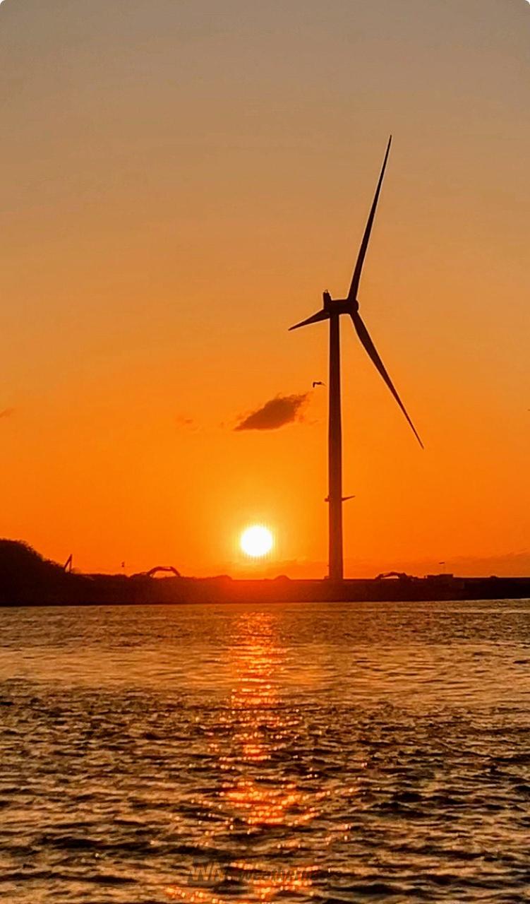 夕焼けはろうきてぃ 夕焼けはろうきてぃ 51E6YnvVvzL._AC_UF894,