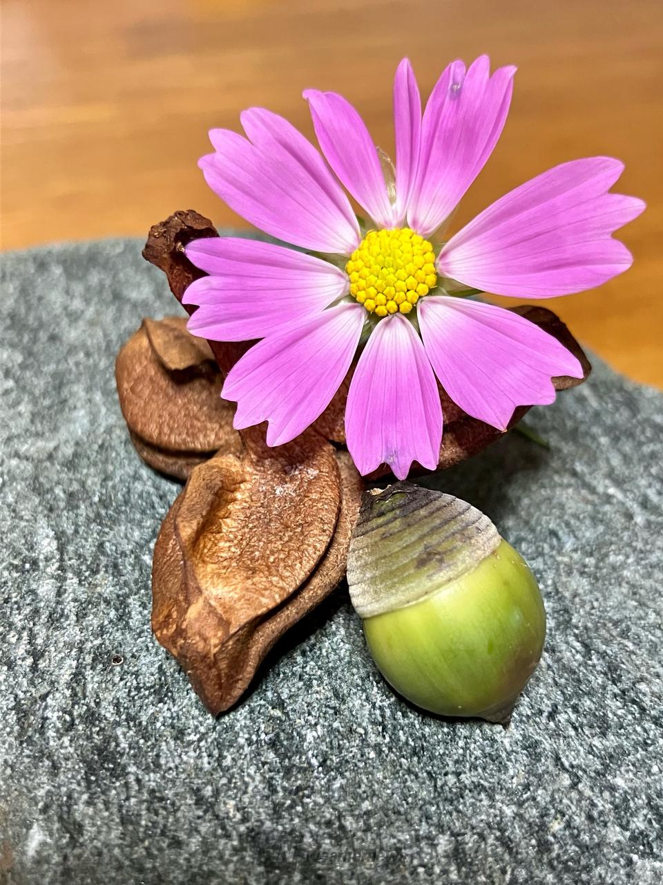 どんぐり発見！ 注目の空の写真 ウェザーニュース