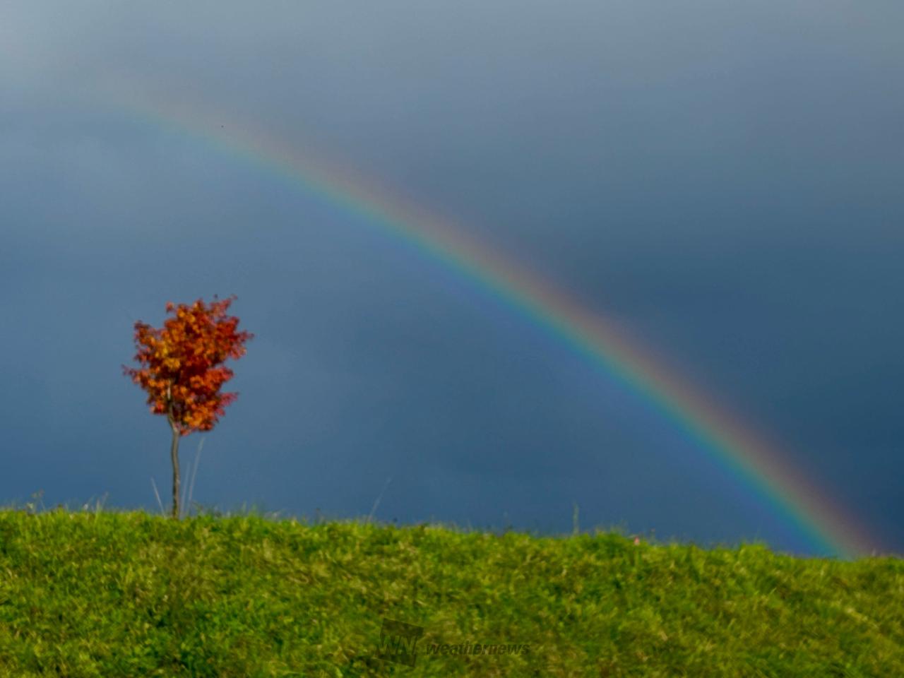 虹が出現🌈 注目の空の写真 ウェザーニュース