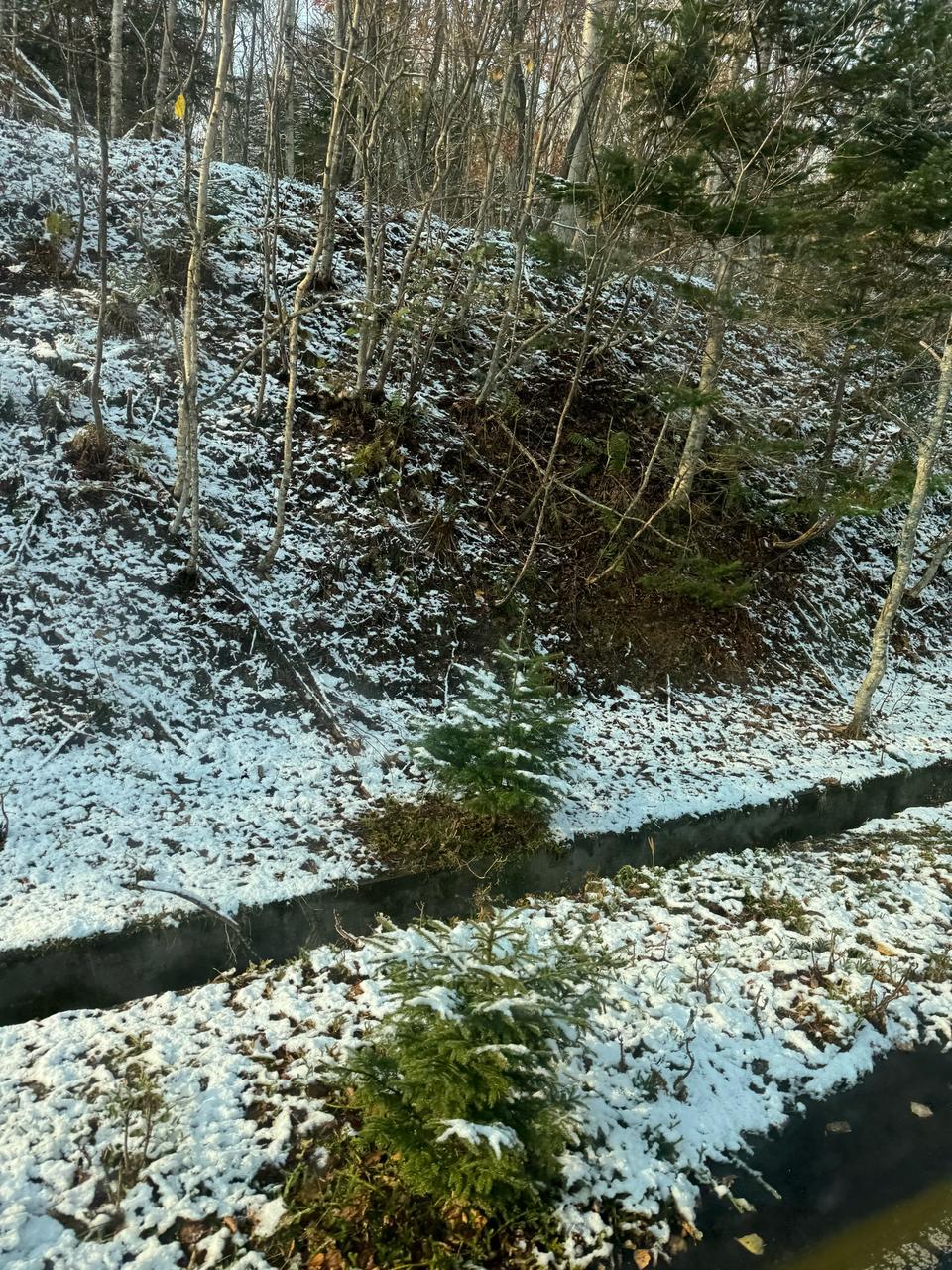 北海道は雪や雨 積雪も☃️ 注目の空の写真 ウェザーニュース