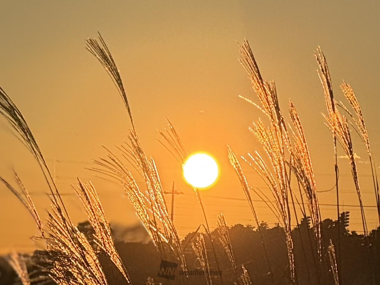 夕陽様確認用 夕陽・夕焼け 注目の空の写真 ウェザーニュース