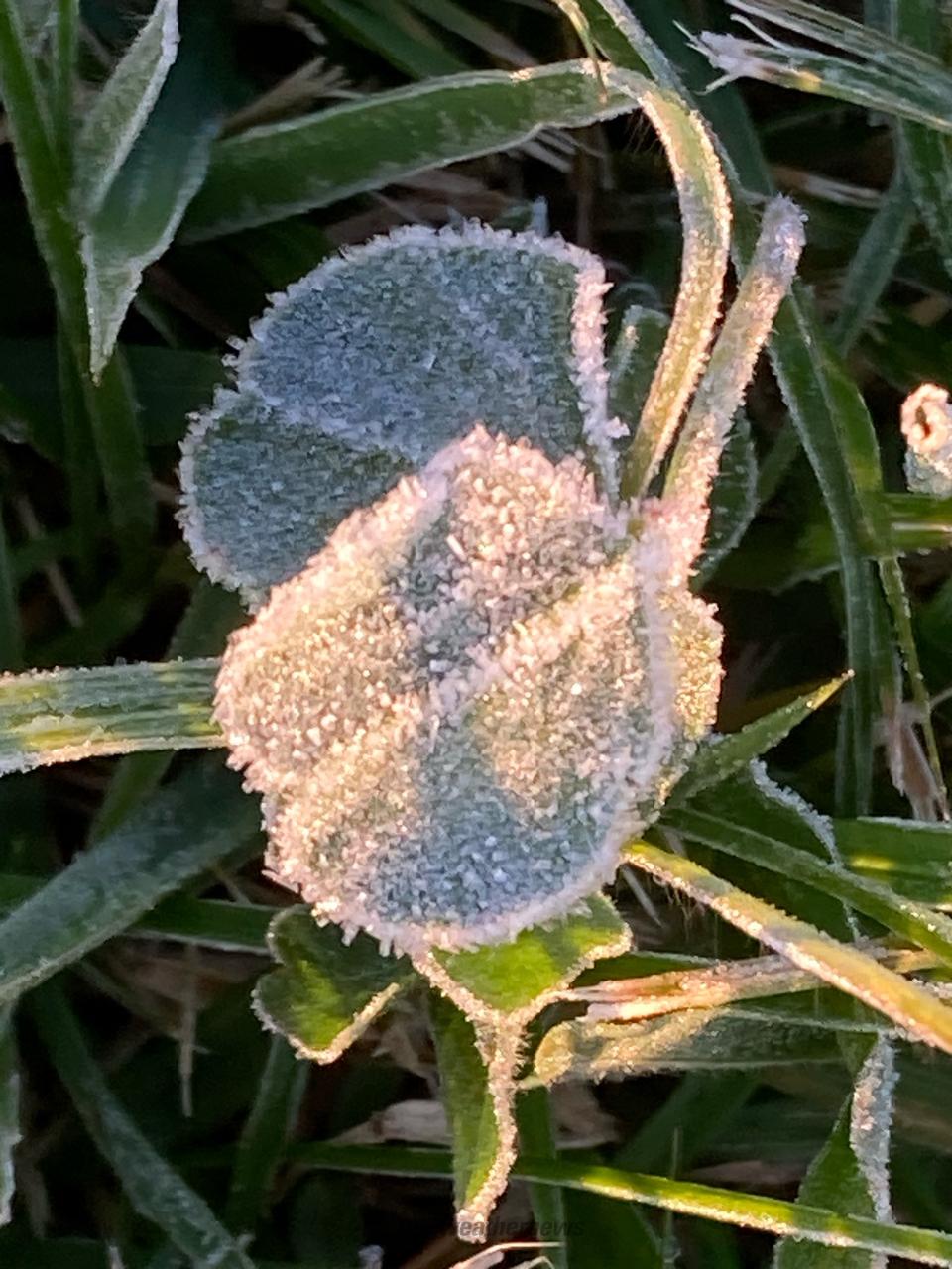 霜が降りた朝🥶 注目の空の写真 ウェザーニュース