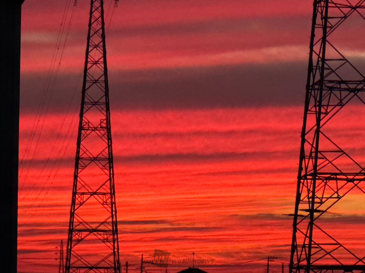 夕焼け空の赤トンボ様　泉州ケルタマ各500本おまけ泉州10本 関東でしましまの夕焼け 注目の空の写真 ウェザーニュース