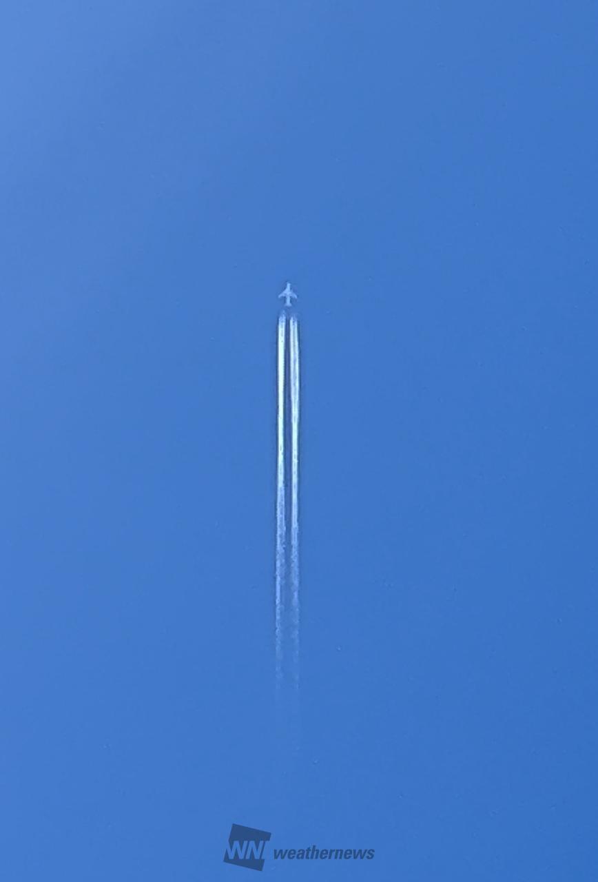 青×白のコントラスト 注目の空の写真 ウェザーニュース