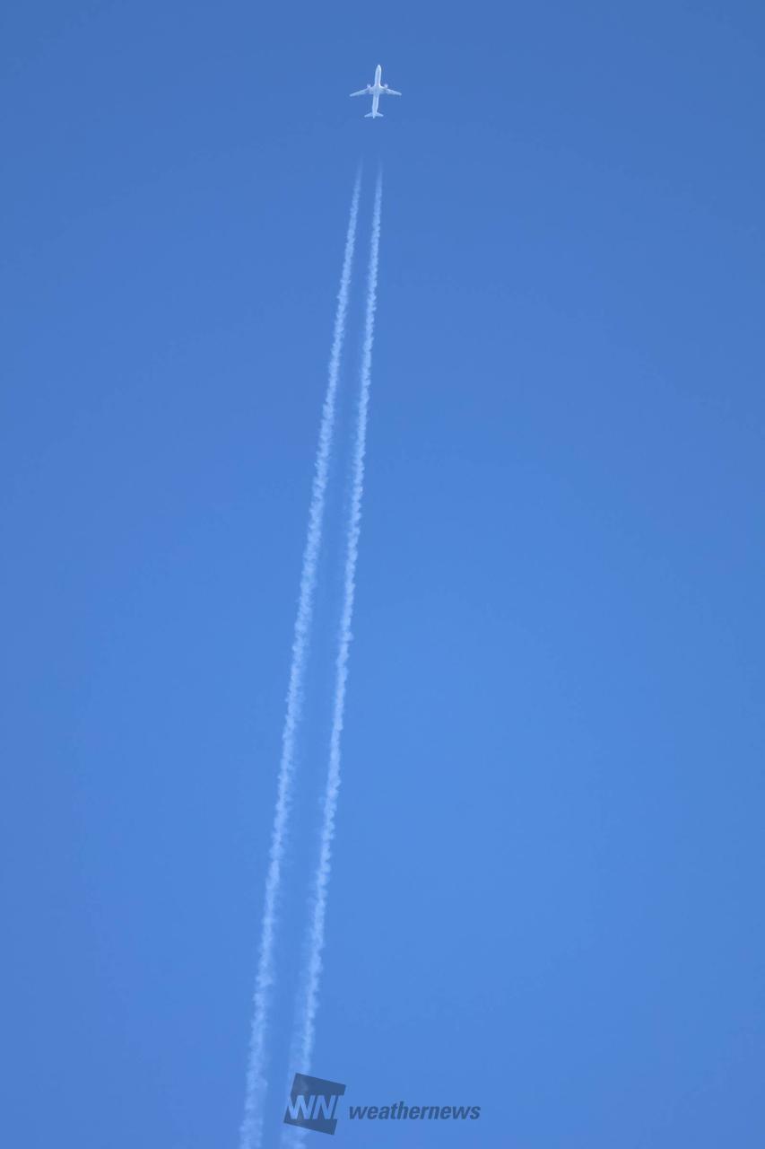 空様確認ページ ✈️台風16号（ターファー）の影響により、9月8日の下記便は欠航となり