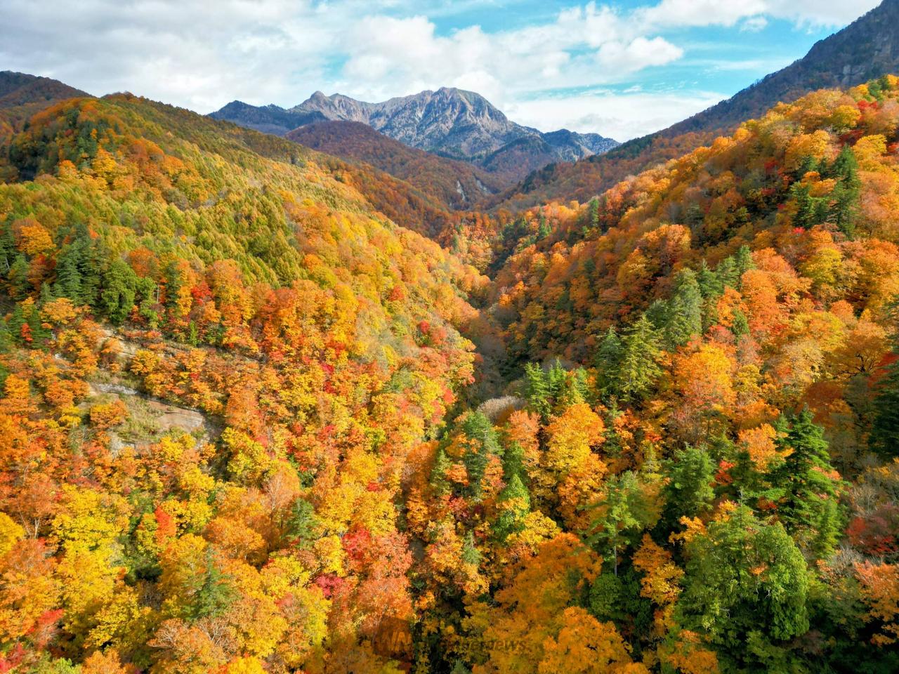 戸隠連山へと向かっ...