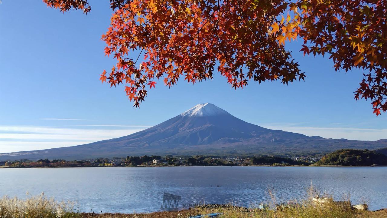 今朝の河口湖少し...