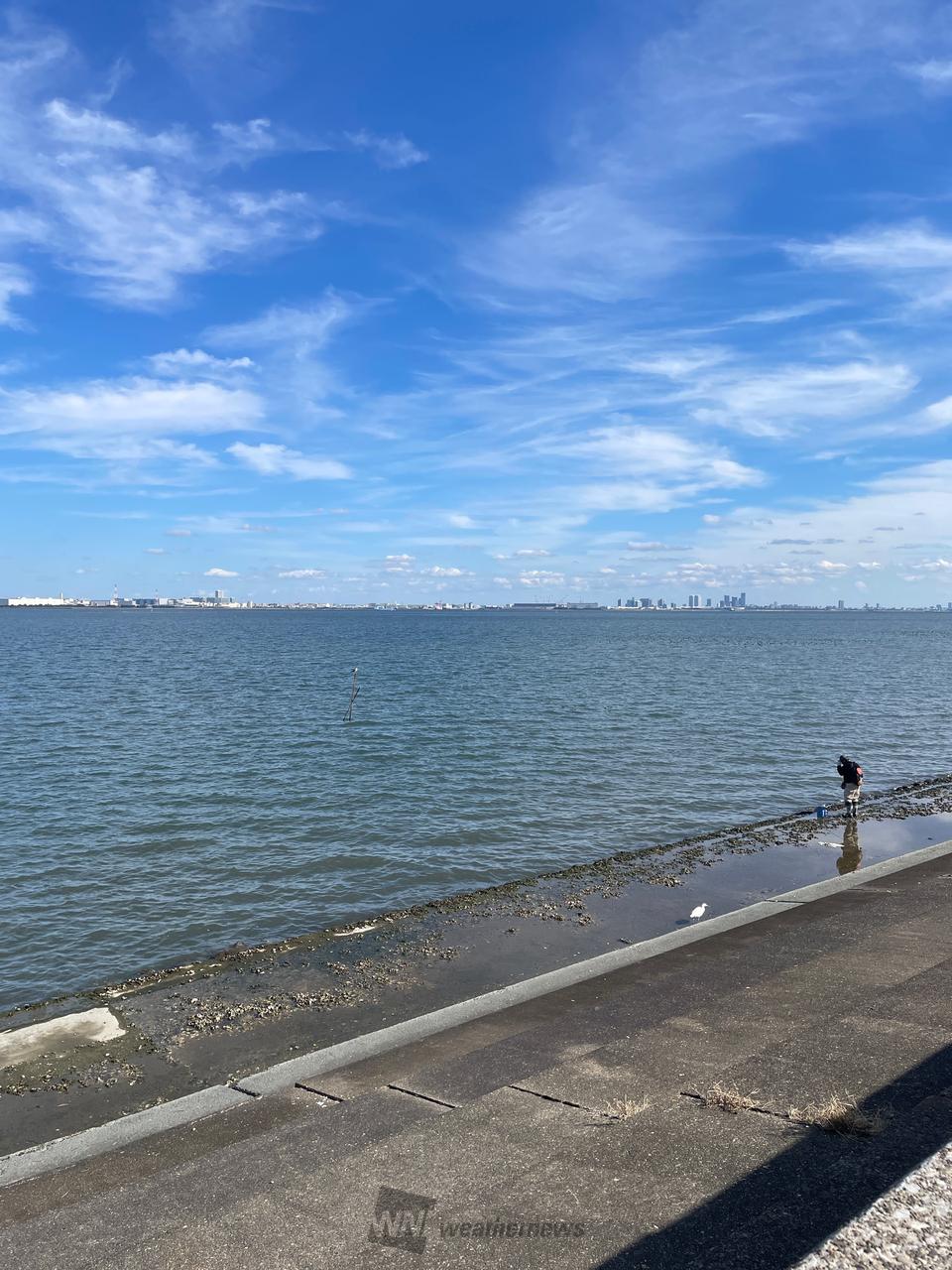 ウェザー ニュース 浦安