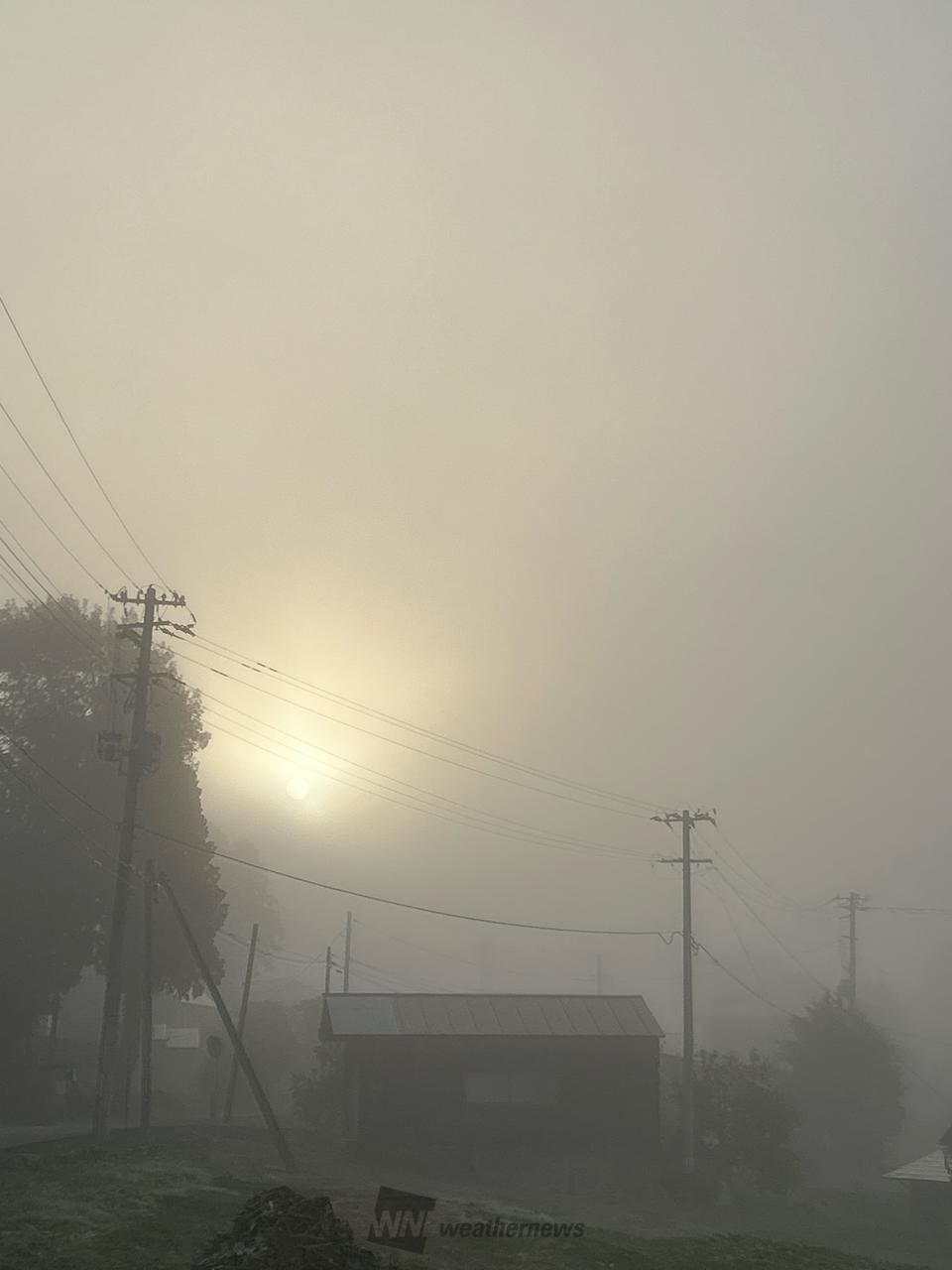 曇り ビジョンベルデ 保護めがね MP－822 両面防曇加工 レッド