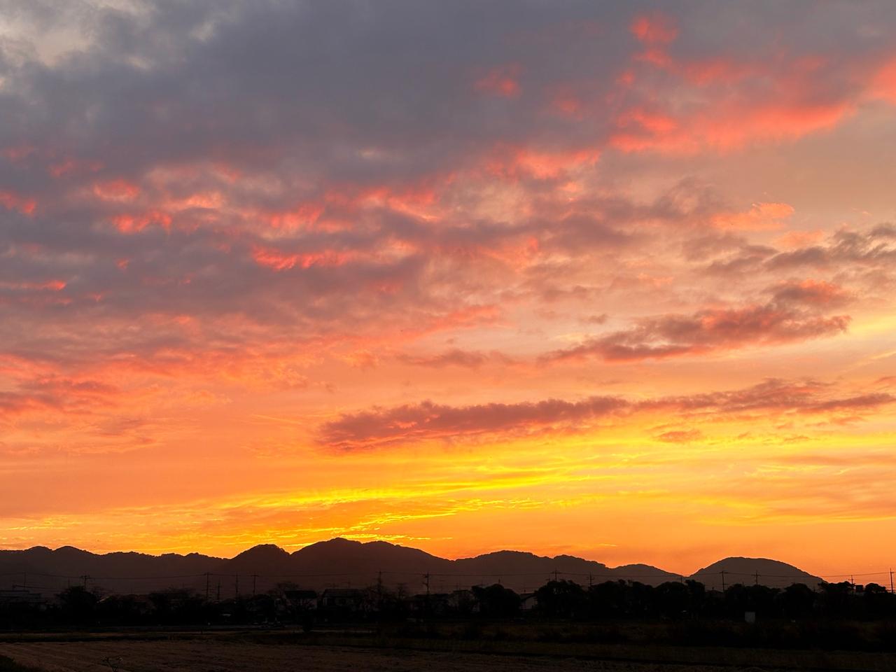 鮮やかな夕焼け 注目の空の写真 ウェザーニュース