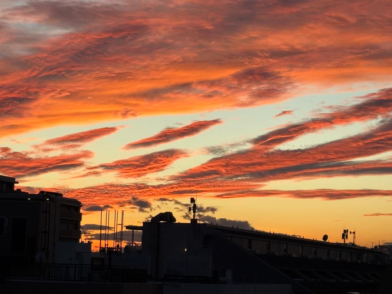 穏やかな夕陽・夕焼け 注目の空の写真 ウェザーニュース