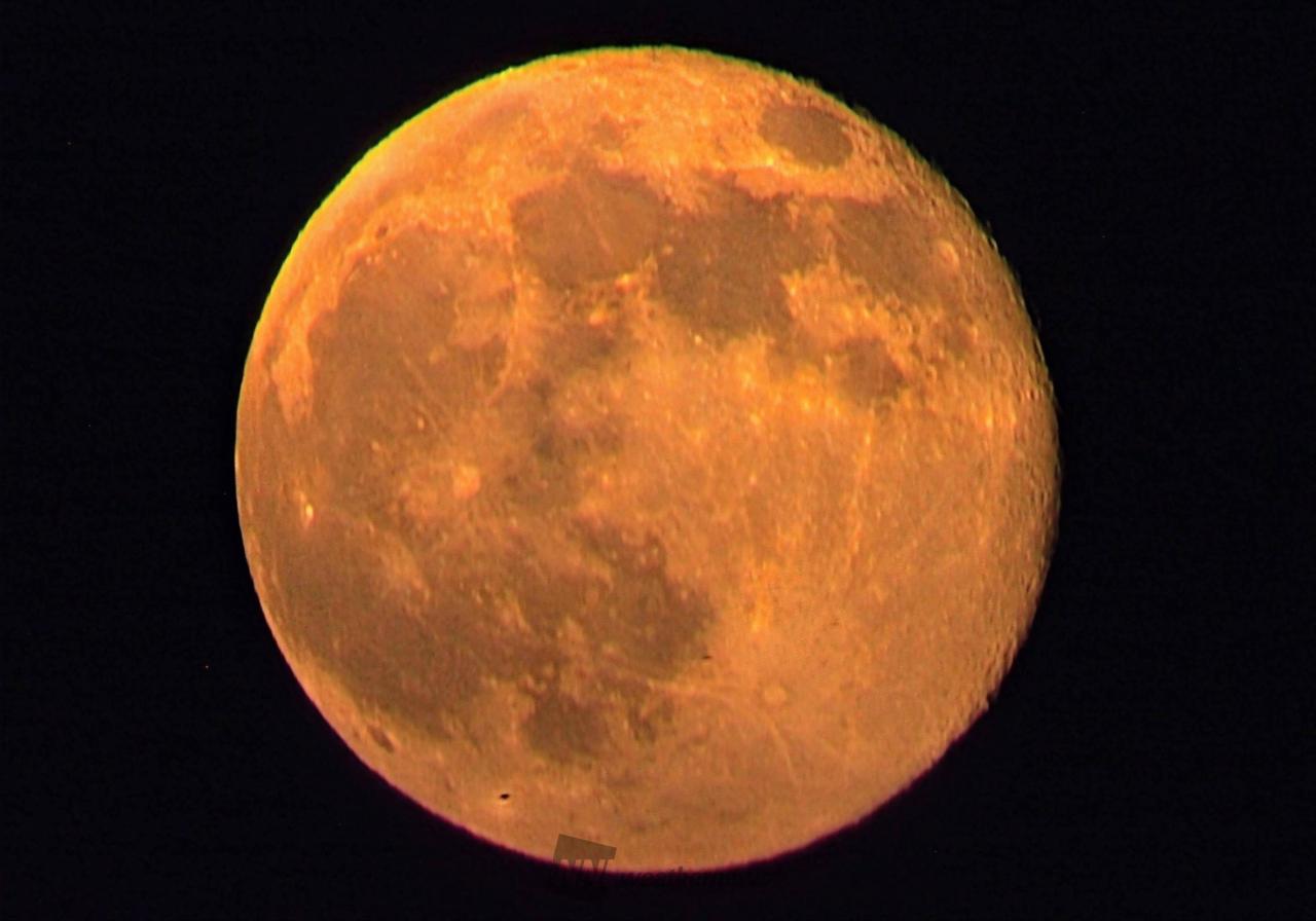大きなお月様🌕 注目の空の写真 ウェザーニュース