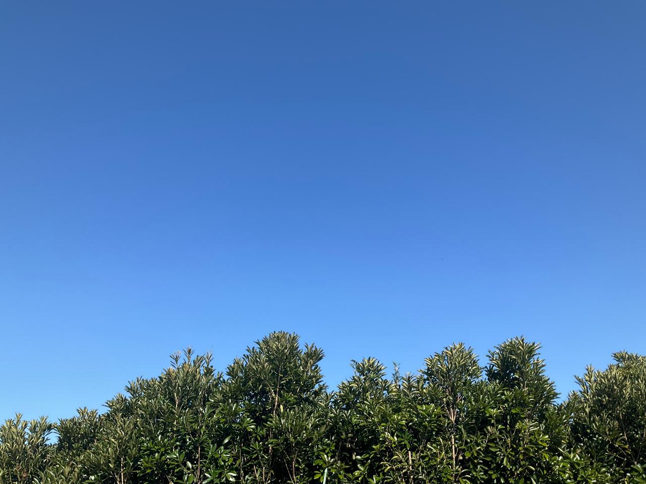 空の青さはどんな色？ 注目の空の写真 ウェザーニュース