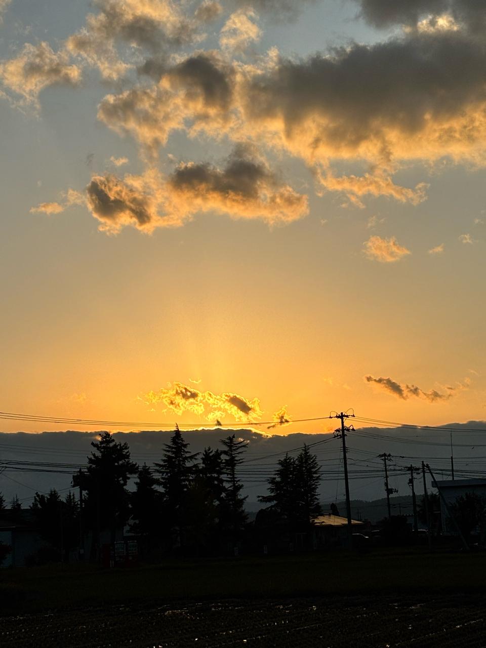 二十四節気「立冬」の夕焼け 注目の空の写真 ウェザーニュース