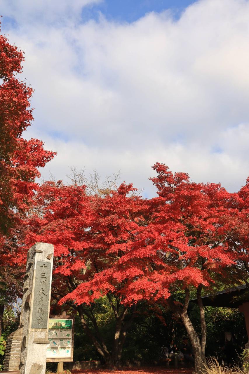 十三州見晴台、高尾...