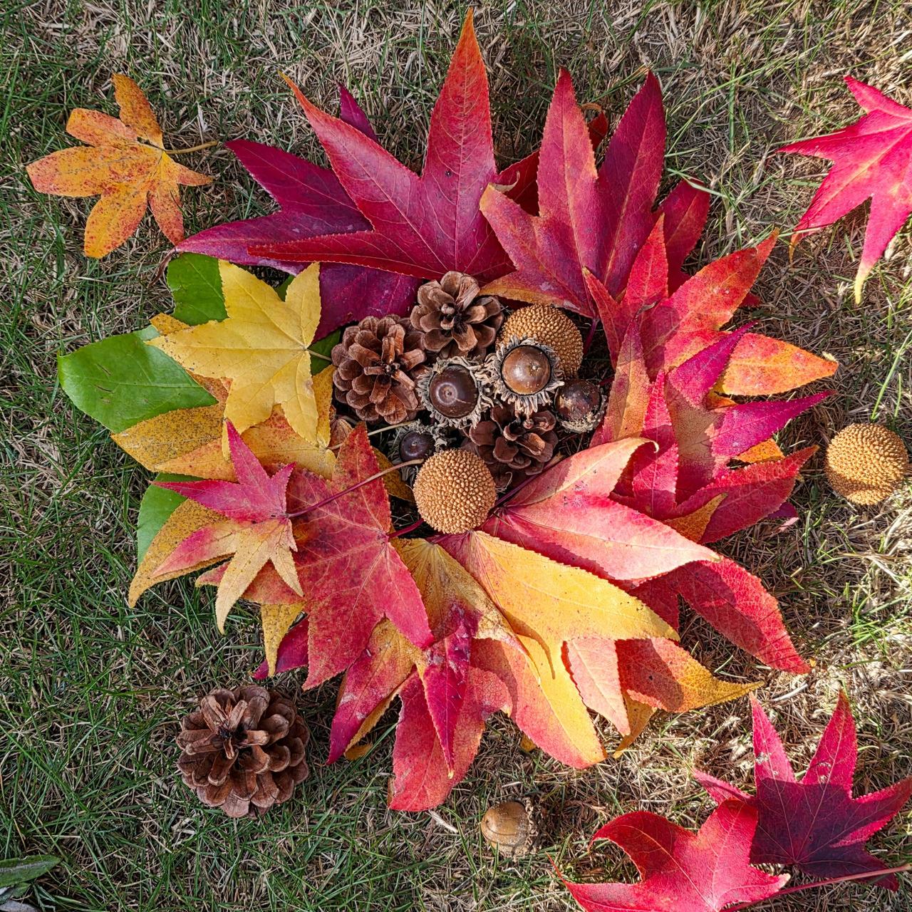 落ち葉アート 注目の空の写真 ウェザーニュース