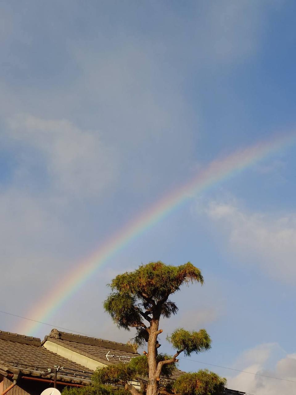 虹が出現🌈 注目の空の写真 ウェザーニュース