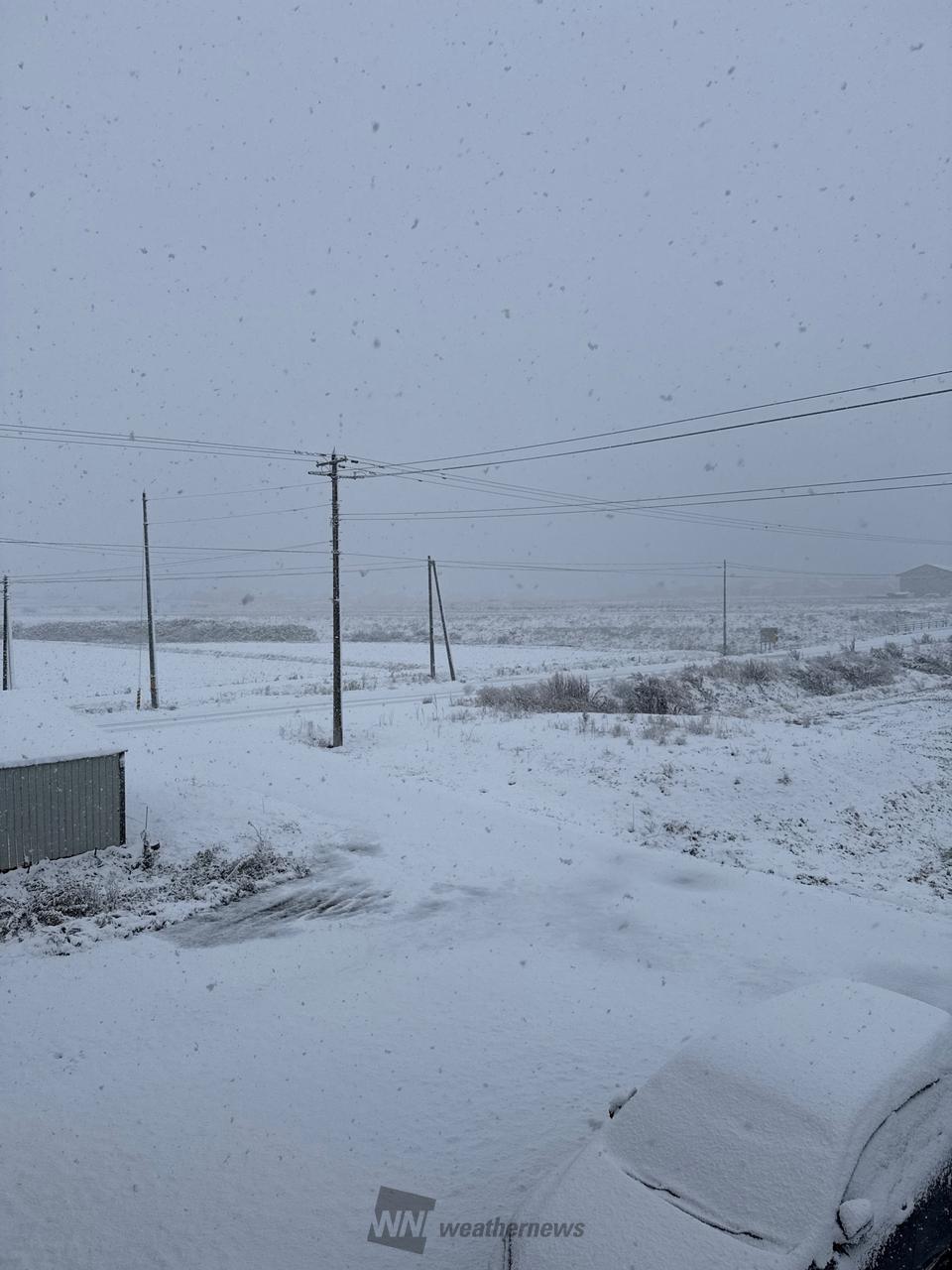 しんしんと雪が降っ...