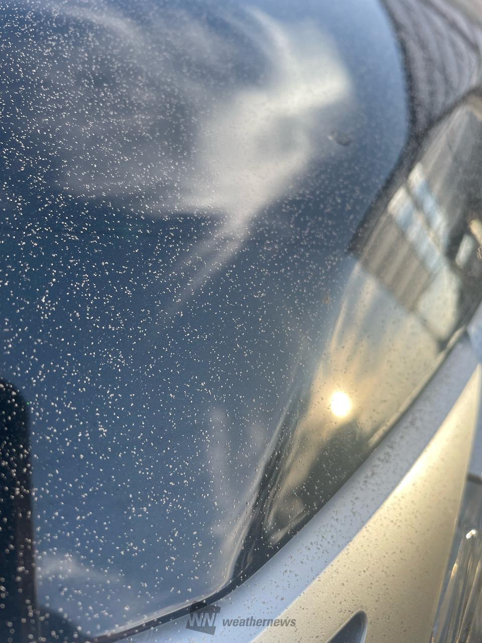 桜島噴火】降灰などの状況 注目の空の写真 ウェザーニュース