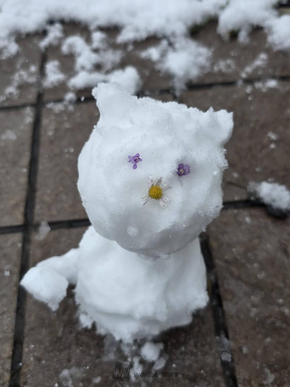 つくってみました☃️ 注目の空の写真 ウェザーニュース