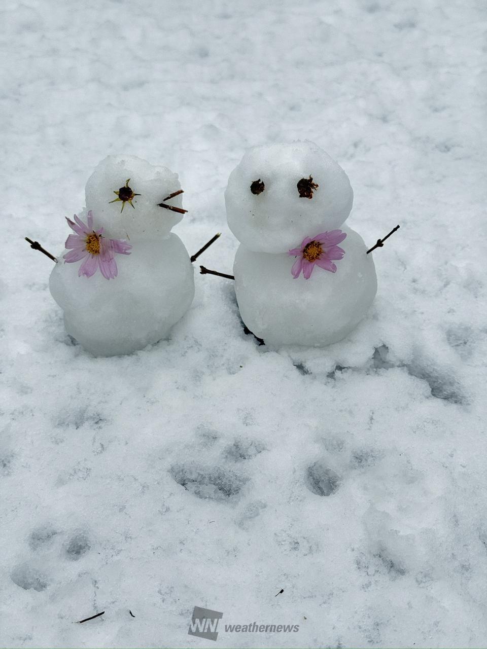 つくってみました☃️ 注目の空の写真 ウェザーニュース