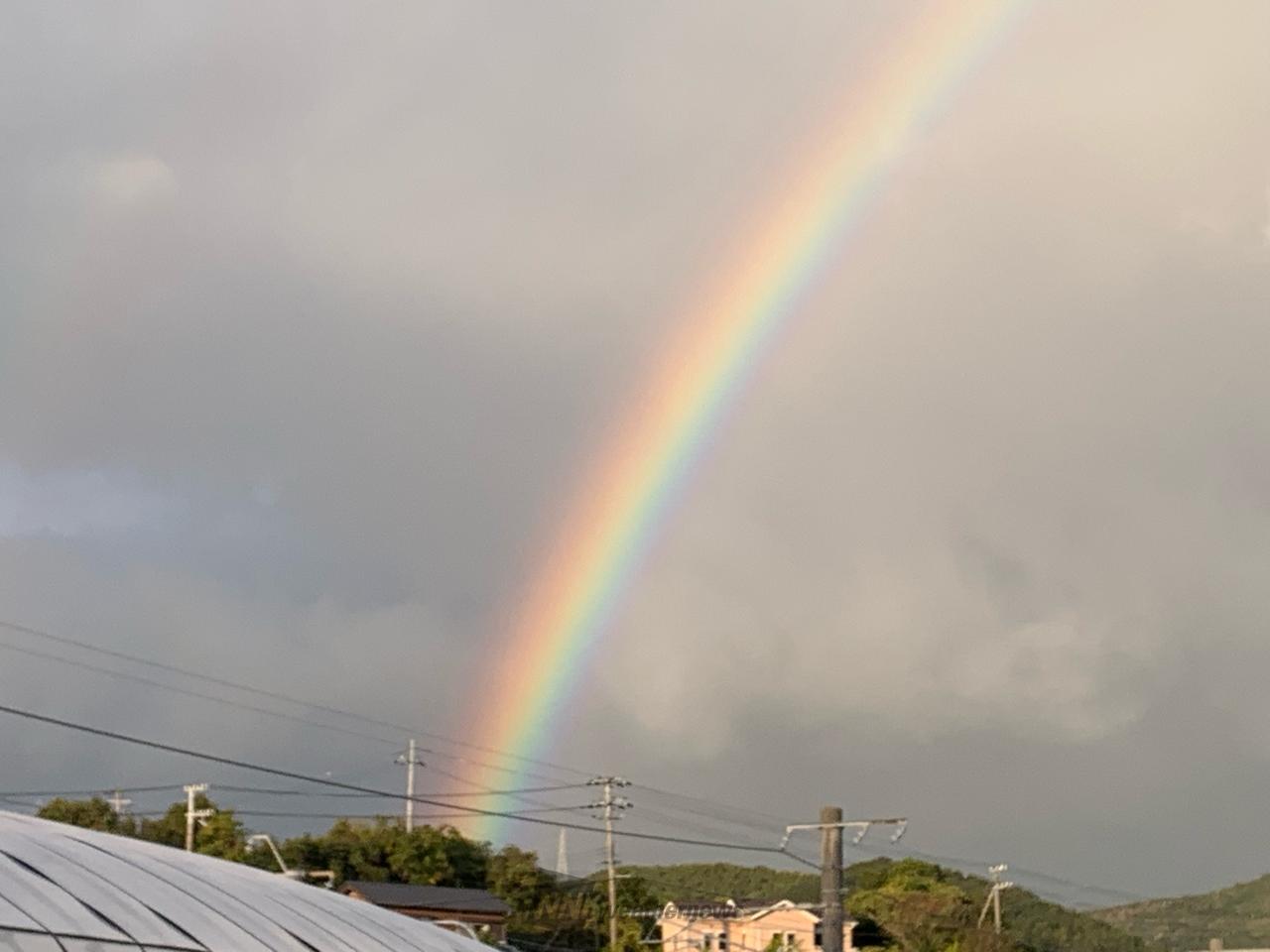 虹が出現🌈 注目の空の写真 ウェザーニュース