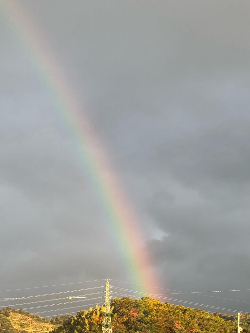 虹が出現🌈 注目の空の写真 ウェザーニュース