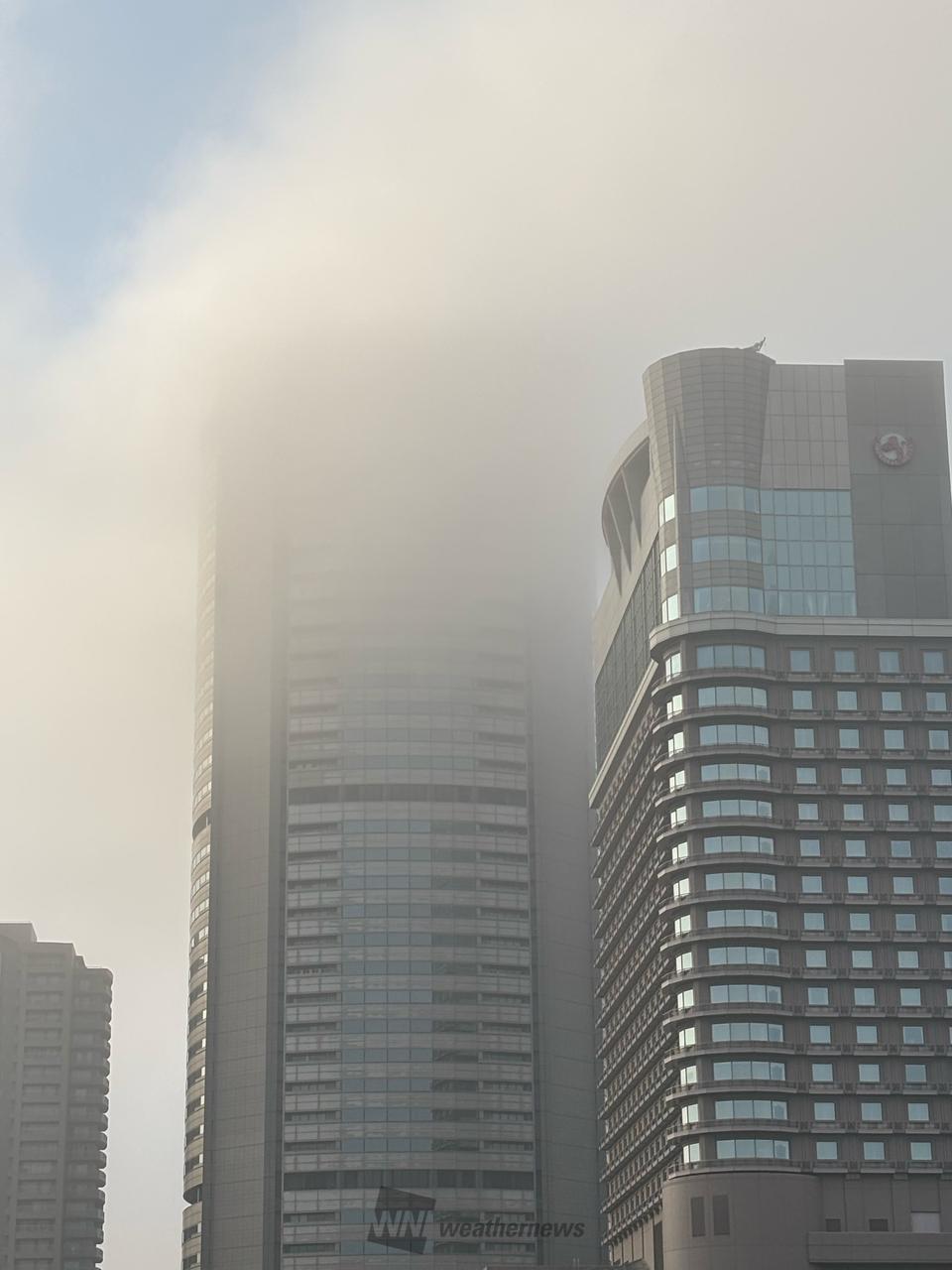 霧のかかる朝 注目の空の写真 ウェザーニュース