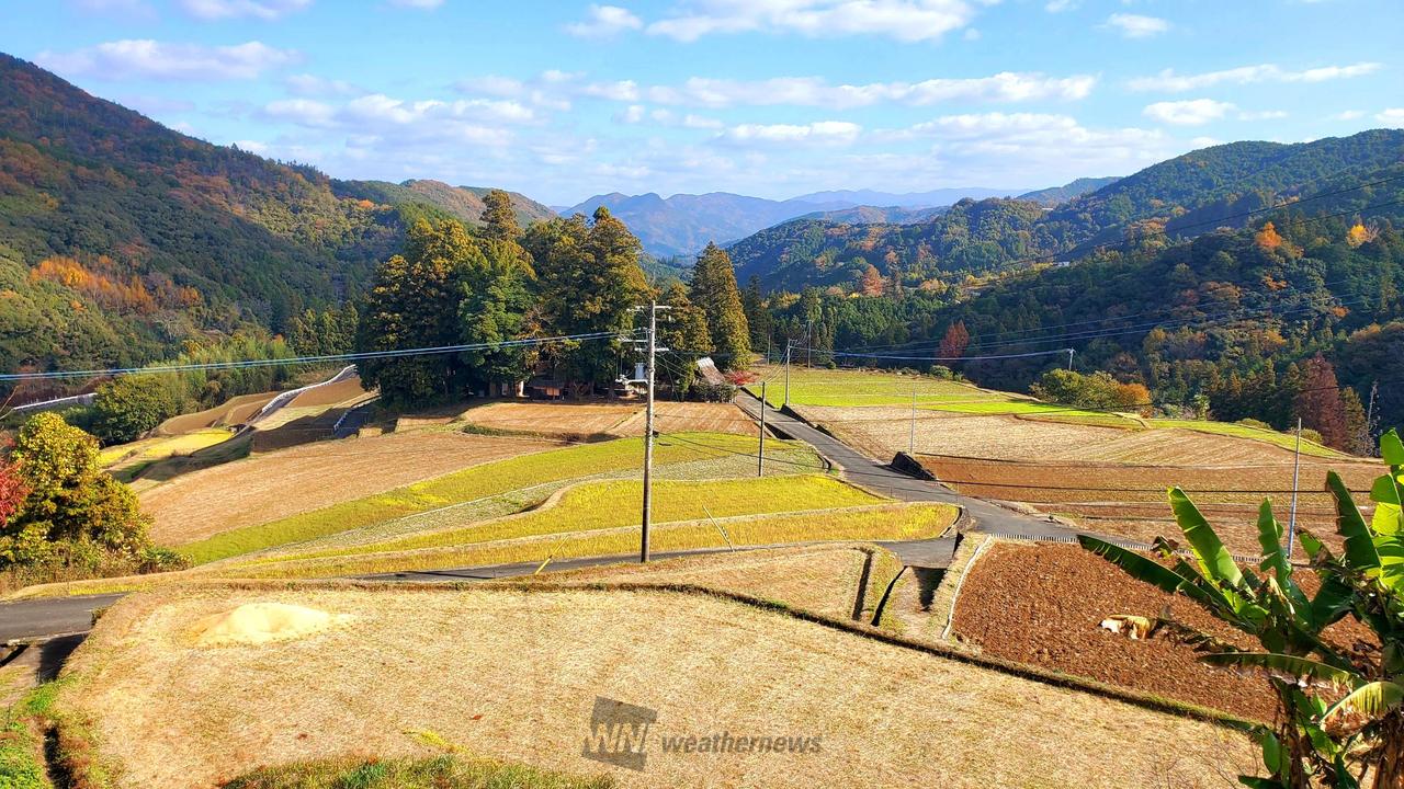 11月の棚田? 注目の空の写真 ウェザーニュース