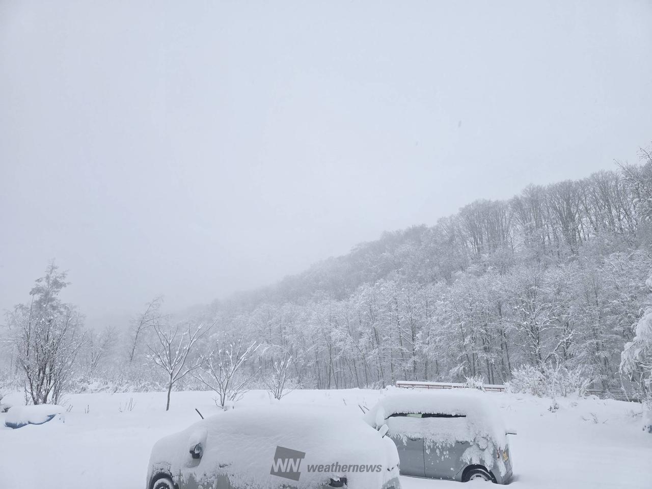 雪雨ページ GORE-TEX 雪道 レインシューズ 防水 雪でも走れる ビジネスシューズ