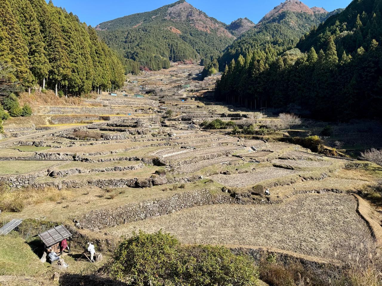 11月の棚田? 注目の空の写真 ウェザーニュース