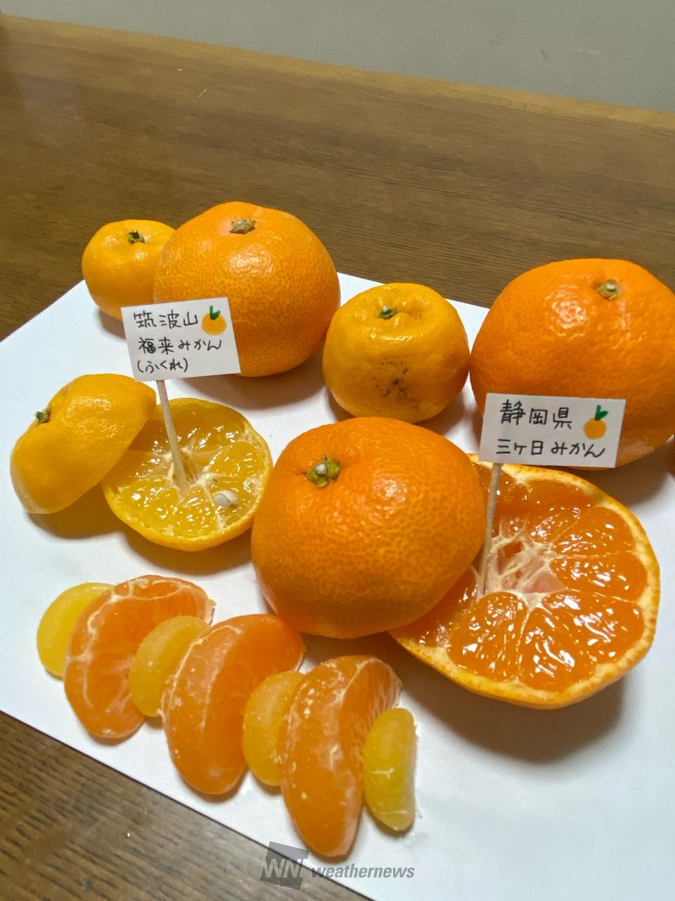 みかんの日🍊 注目の空の写真 ウェザーニュース