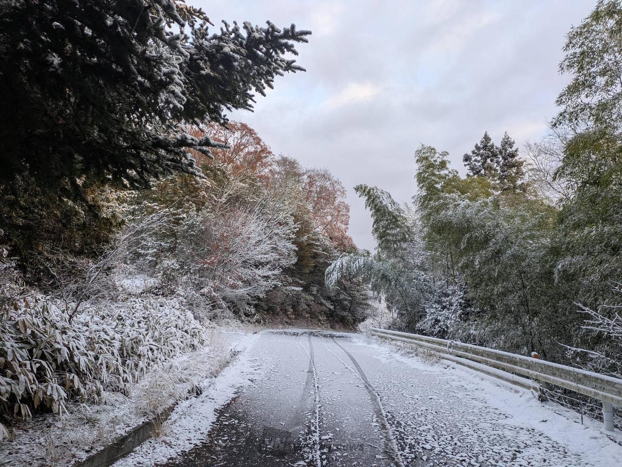 雪景色(東、西日本) 注目の空の写真 ウェザーニュース