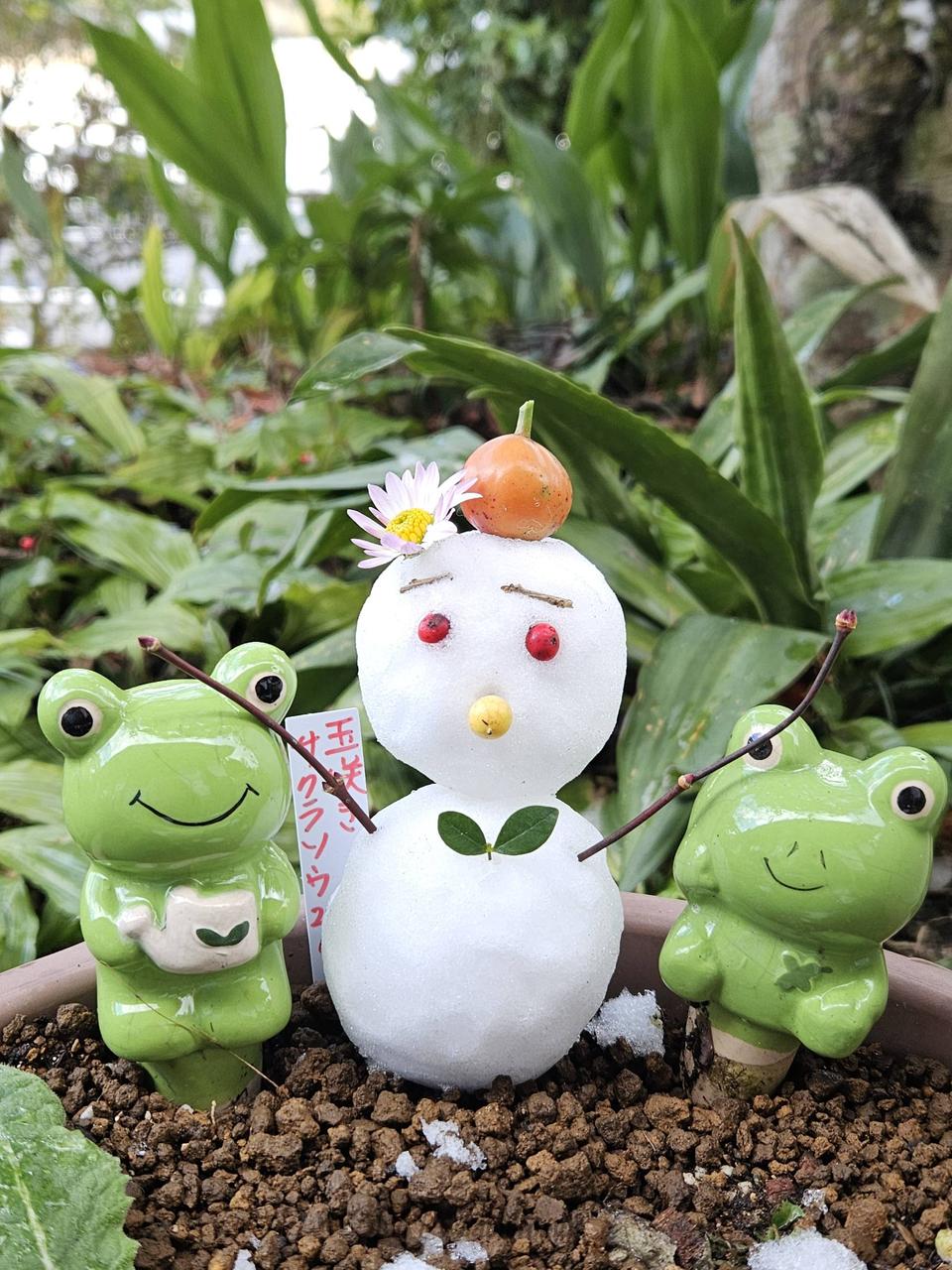 雪だるま作ろ～う☃️ 注目の空の写真 ウェザーニュース