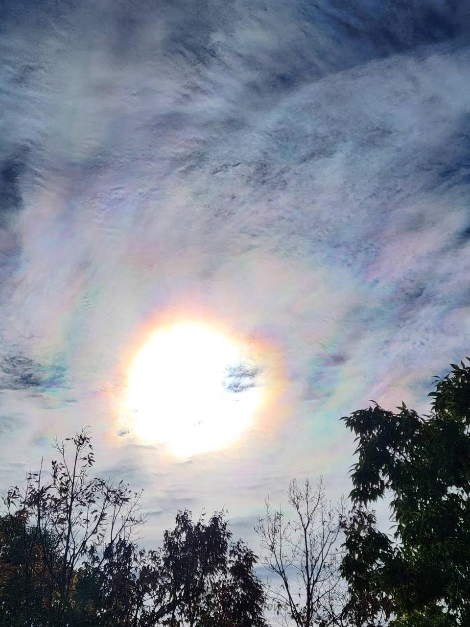 彩雲様ご依頼品 彩雲をget 注目の空の写真 ウェザーニュース