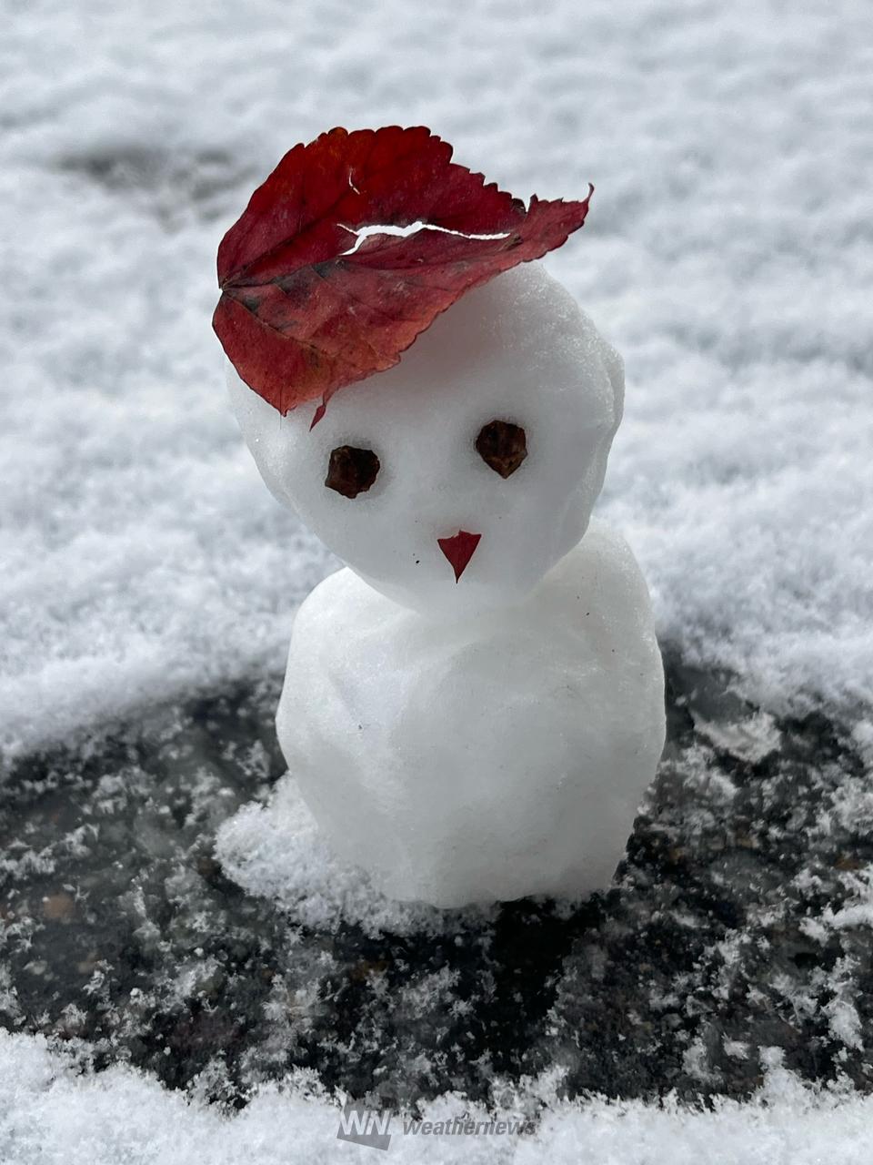 雪だるま作ろ～う☃️ 注目の空の写真 ウェザーニュース