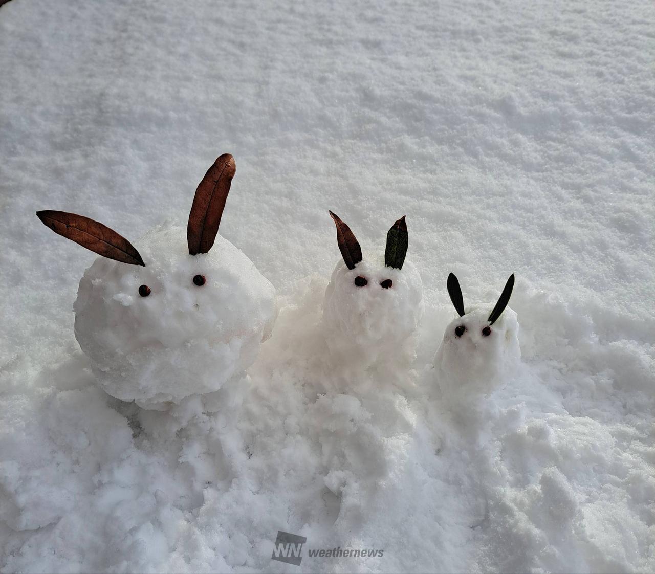 雪だるま作ろ～う☃️ 注目の空の写真 ウェザーニュース