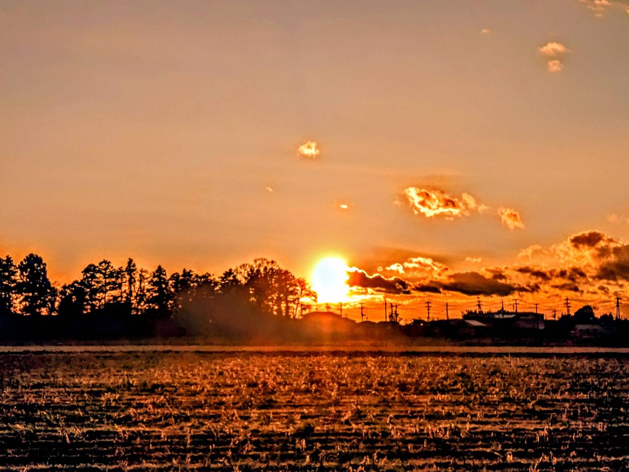 師走最初の金曜日の夕焼け 注目の空の写真 ウェザーニュース