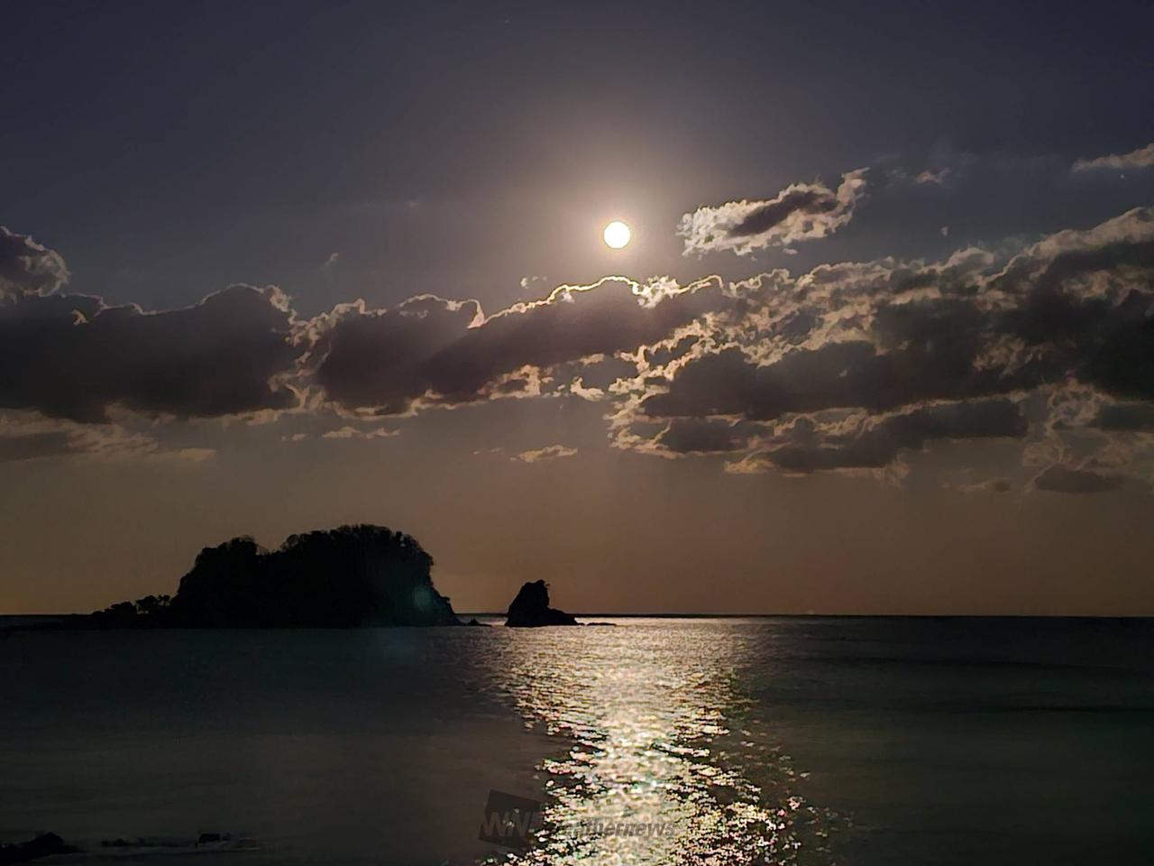 今日は忘年会なんで...