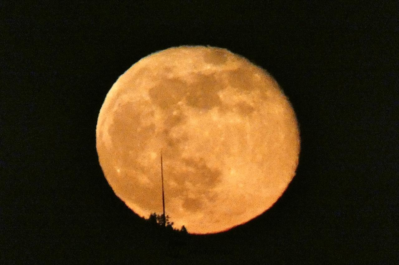 満月過ぎのお月さま 注目の空の写真 ウェザーニュース