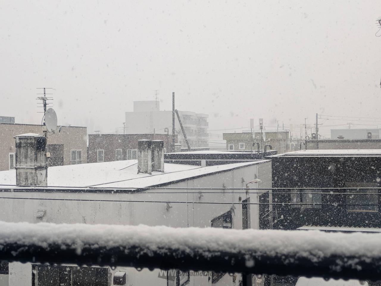湿っぽい雪が降り続...