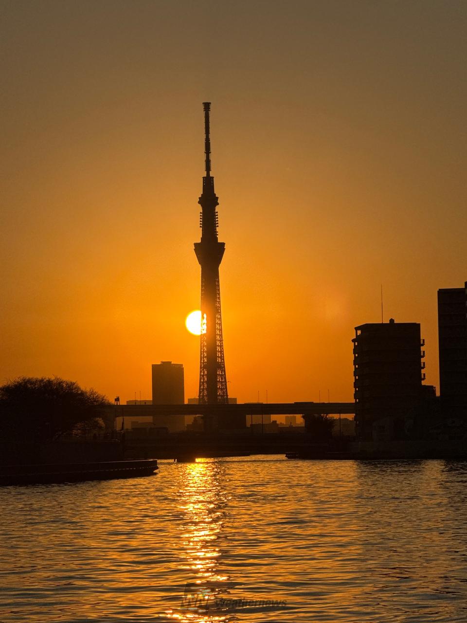 夕焼けtime 注目の空の写真 ウェザーニュース