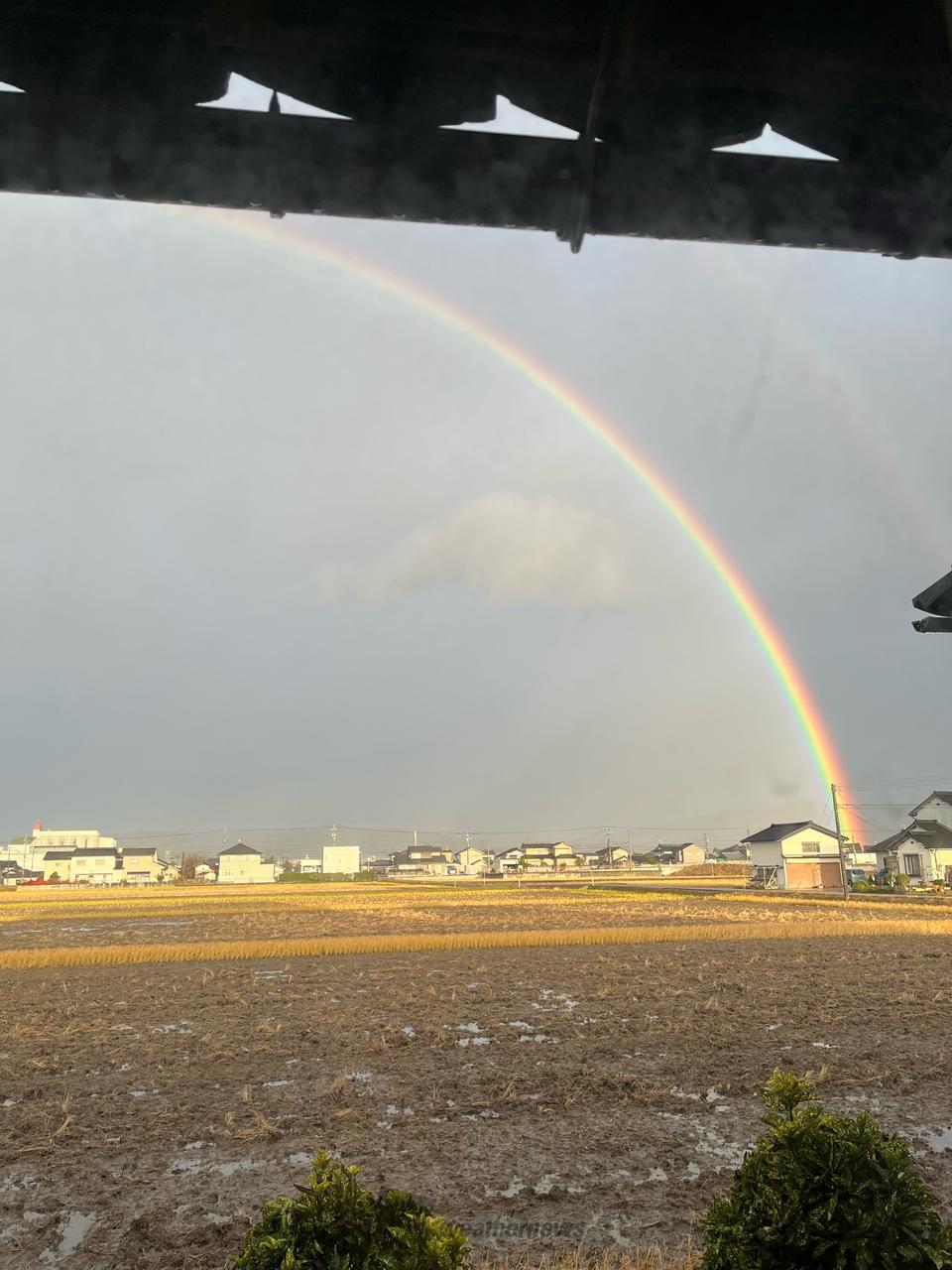 虹が出現🌈 注目の空の写真 ウェザーニュース