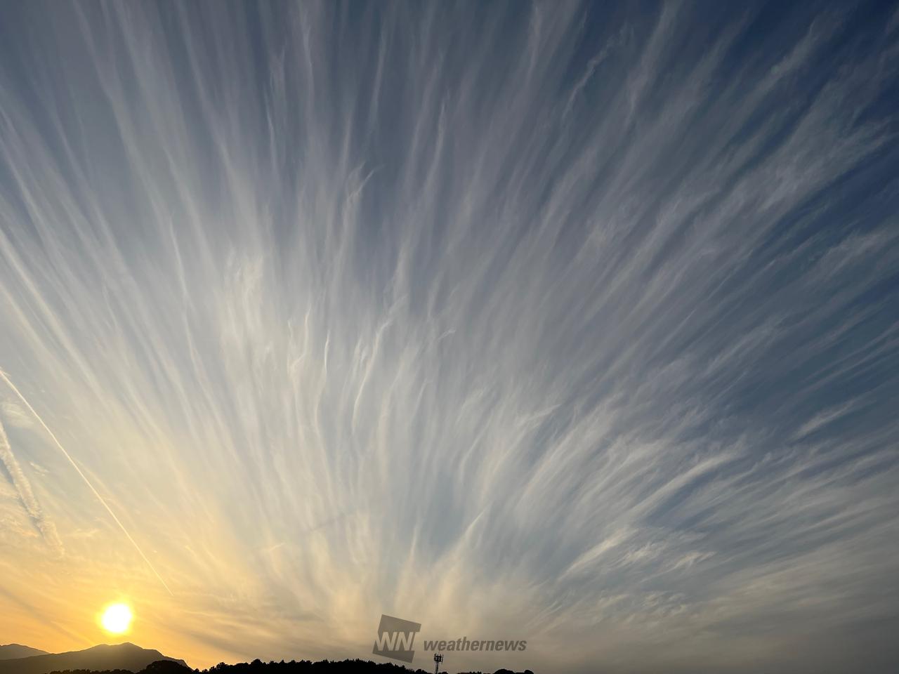 刷毛で描いたような雲 注目の空の写真 ウェザーニュース