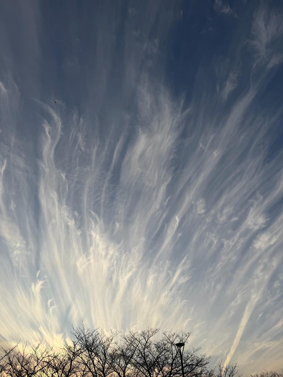 刷毛で描いたような雲 注目の空の写真 ウェザーニュース