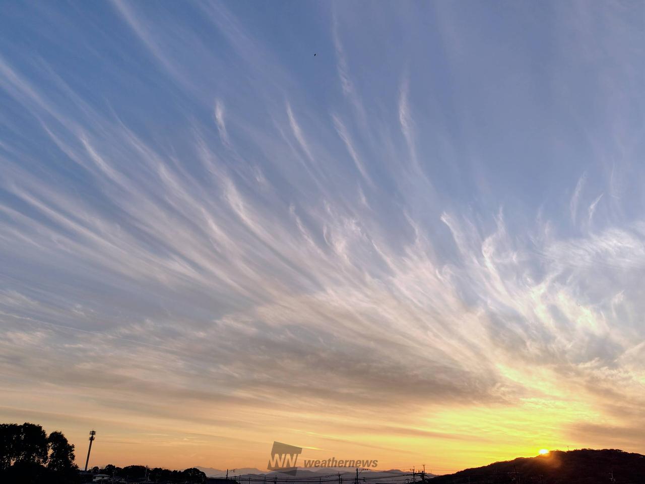 刷毛で描いたような雲 注目の空の写真 ウェザーニュース