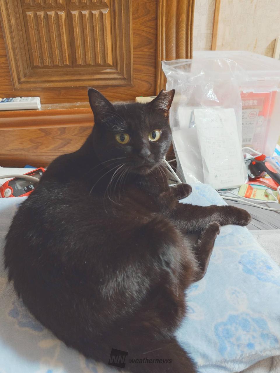 こんにちわ昨日も...