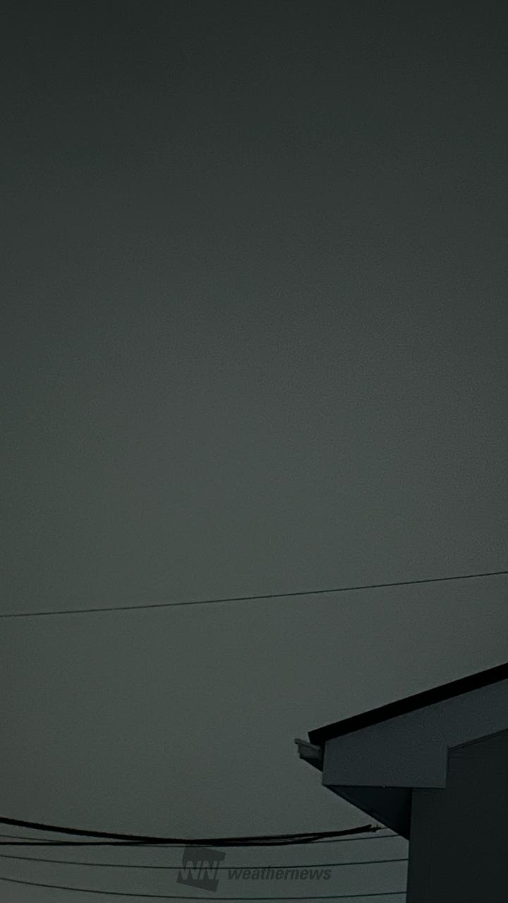 今日は久々に雨が降...